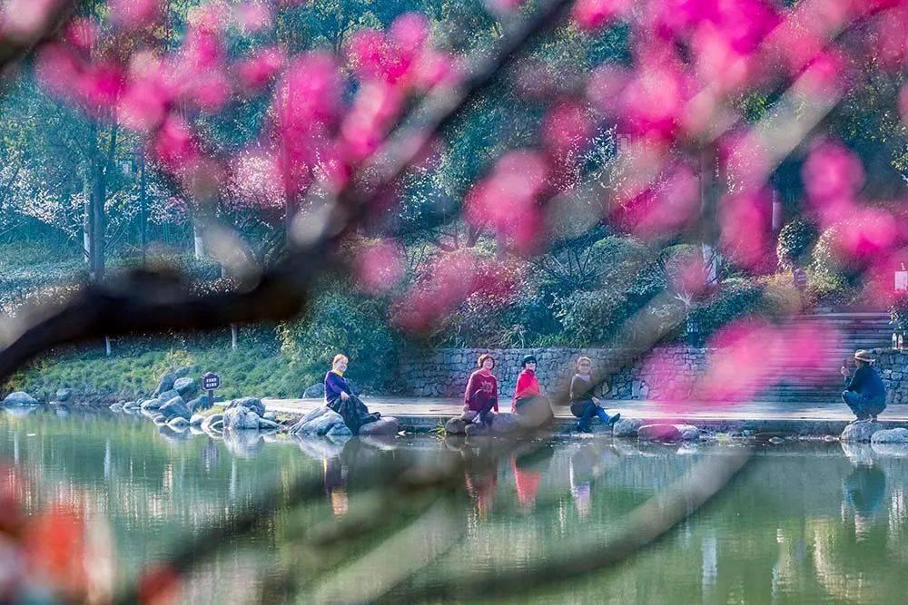 《父母爱情》江卫民开茶馆,欧阳安然为何出钱最多?都是人情世故